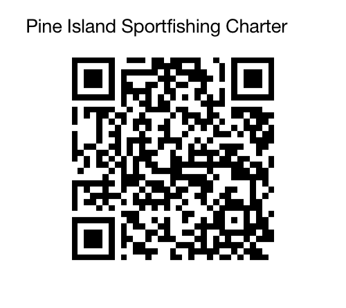 Payment Link